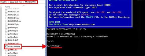 DOSBox Command 的图像结果