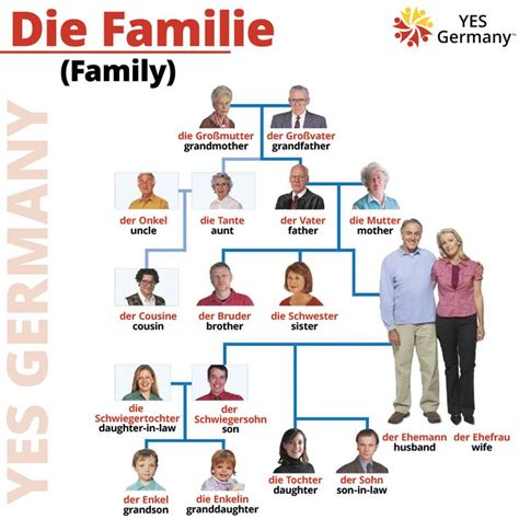 Image result for German Language Family Tree