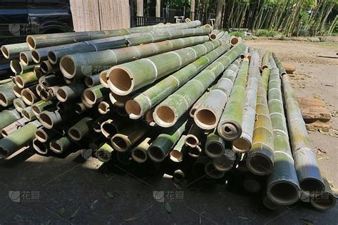 新砍竹子防腐防裂方法是-百度经验