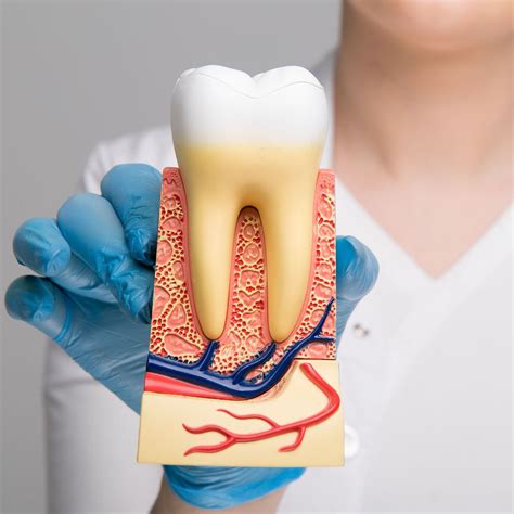 Can Receding Gums Be Reversed?