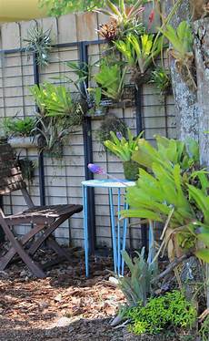 Vertical Garden by The Rainforest Garden Make A Vertical Garden From Cheap Vertical Garden