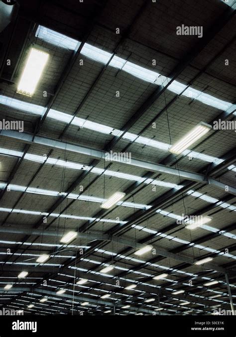Image result for Warehouse Reflected Ceiling