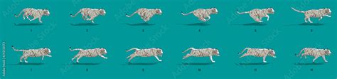 Image result for Tiger Run Cycle Animation