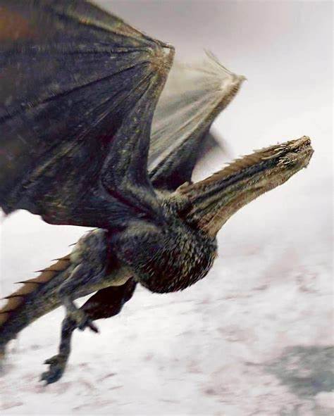 Drogon the Winged Shadow | Game of Thrones Art