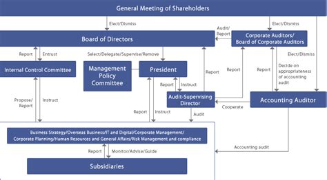Corporate Governance Structure Examples 的图像结果