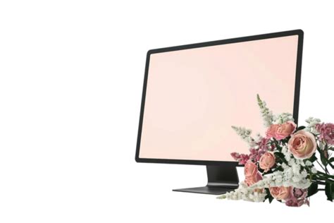 Example No Background 的图像结果