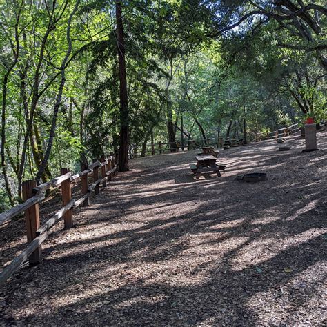 Uvas Canyon County Park Camping | New Almaden, California
