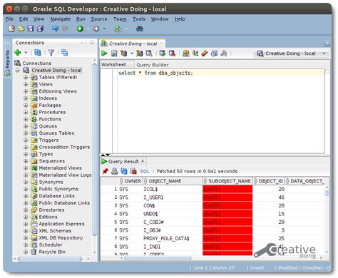 Image result for SQL Developer Database Connection
