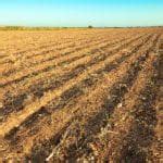 Agriculture Careers: Key Opportunities and Paths in the Field