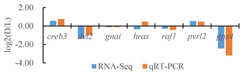 Comparative Transcriptome Analysis of the Skin and the Peritoneal Wall ...