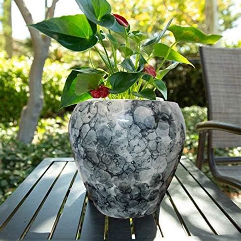 Niyara Stylish Ceramic Pots for Indoor Plants,Succulent,Outdoor,Balcony ...