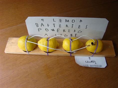 Image result for First Grade Science Experiments