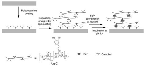Catechol-Based Antimicrobial Polymers