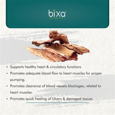 Arjuna Bark Powder Terminalia Arjuna – Bixa Botanical India