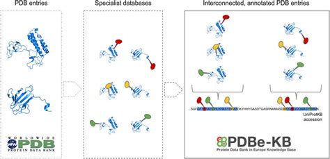 PDB Tutorial 的图像结果