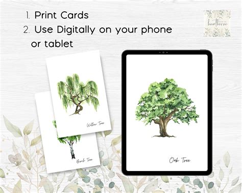 Tree Flashcard 的图像结果