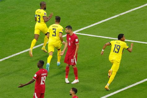 厄瓜多尔对卡塔尔,世界杯厄瓜多尔vs卡塔尔谁赢了-LS体育号