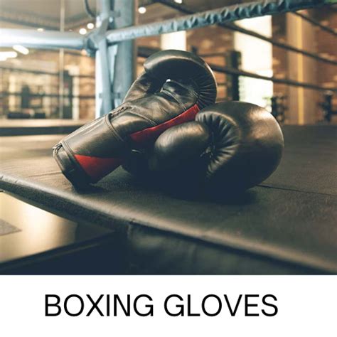 Boxing Gloves – Sportswing.in