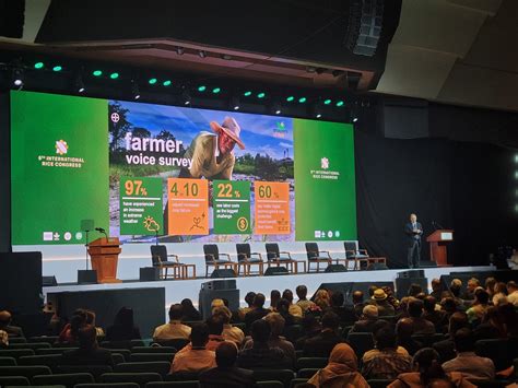 IRRI unveils ultra low-glycemic rice