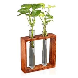 Urban Plant Rustique Test Tube Planter with Wooden Holder, Decorative ...