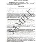 Sample Self Cancelling Installment Note 的图像结果