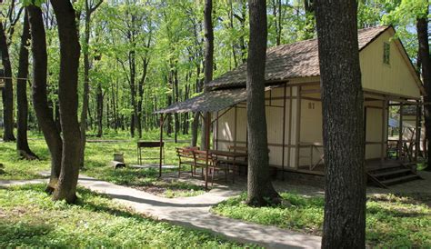 Турбаза Ласточка Воронеж Россия — отзывы, описание, фото, бронирование ...