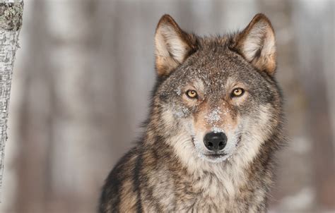 Image result for forgetting