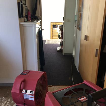 Image result for Structure Drying Cycle