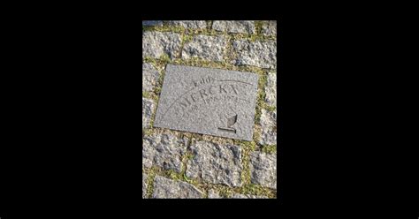 Image result for Paris-Roubaix Cobble Logo
