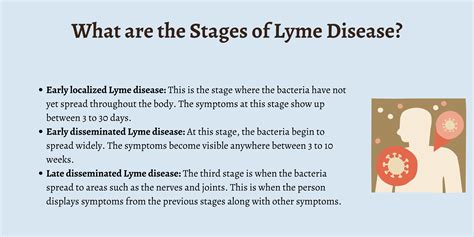 Lyme Disease In Dogs Stages at Victoria Gregory blog
