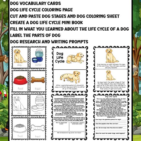 Dog Life Cycle Worksheets - Coloring, Sorting, Vocabulary, Tracing and ...