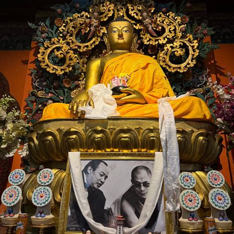 I AM HIMALAYA - All You Need to Know BEFORE You Go 2026 (with Photos ...