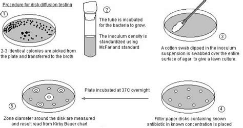 Agar Disc Diffusion Method 的图像结果