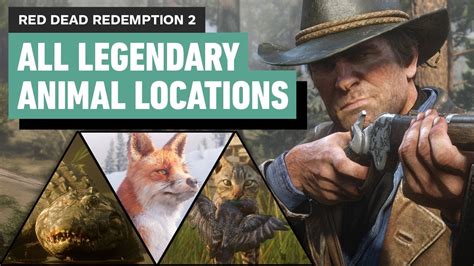 Red Dead Redemption 2 - All Legendary Animal Locations - YouTube