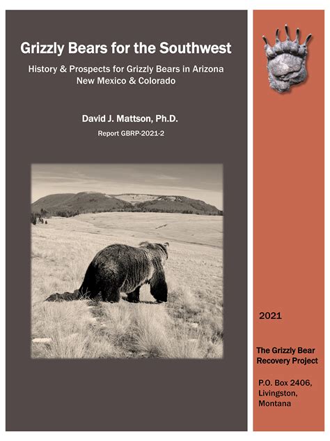 Grizzly Bears for the Southwest: History & Prospects for Grizzly Bears ...