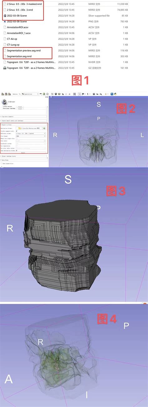 Slicing Simulator Script 的图像结果