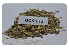 Our Products - G. K. Burman Herbal India Private Limited - Haridwar ...