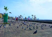 Rain in Mumbai: Dry weather conditions likely in Mumbai during next 48 ...