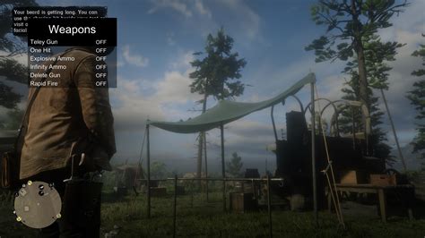 Image result for How to Use Script Hook RDR2