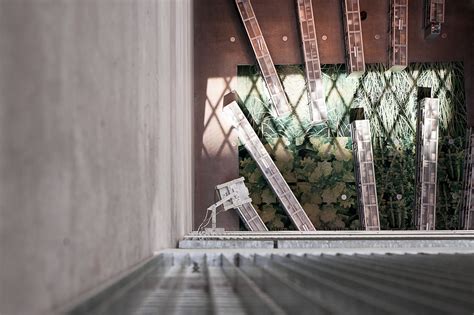 Seattle Public Library 的图像结果