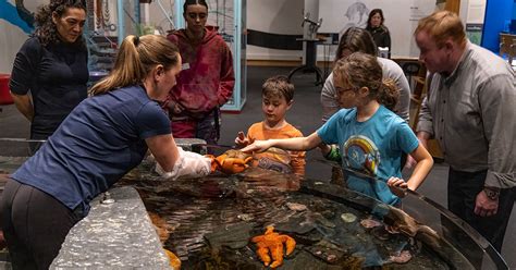 Family Art Class: Exploring Intertidal Habitats, 625 C Street ...