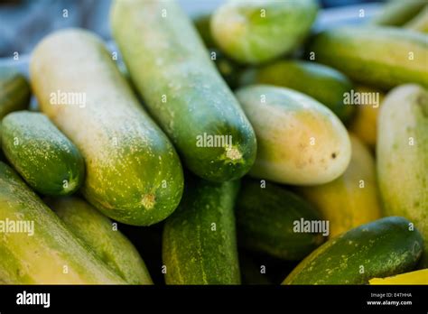 Local Produce Market 的图像结果