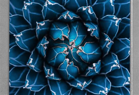 Buy Indoor Blinds for Windows – Free Shipping