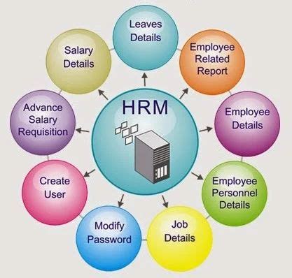 HRM Software 的图像结果