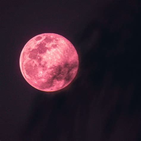 Full pink moon 2023: Know all about it and its impact on all zodiacs