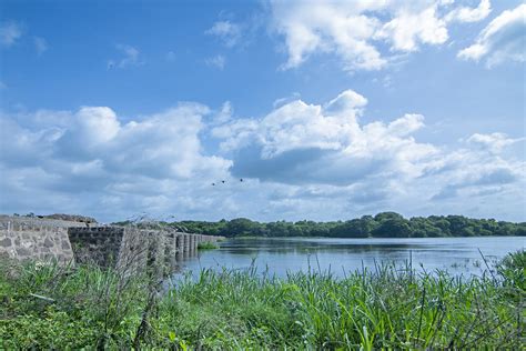 The Avians Of Kavadi Pat | Nature inFocus