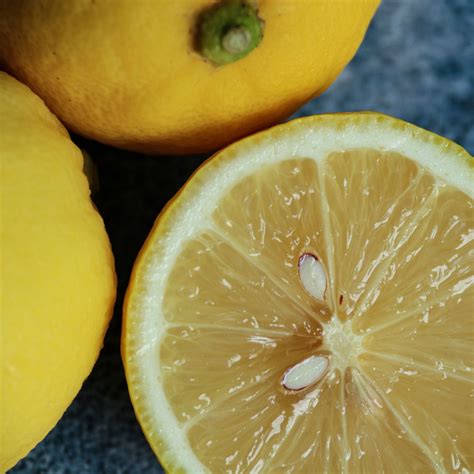 How to grow a lemon tree from seed: step-by-step guide | Ideal Home