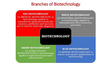 Biotechnology Basic Concepts 的图像结果