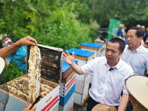 “醉心”科技创新的海南“养蜂学长”廖万杰——从大学生到养蜂企业家