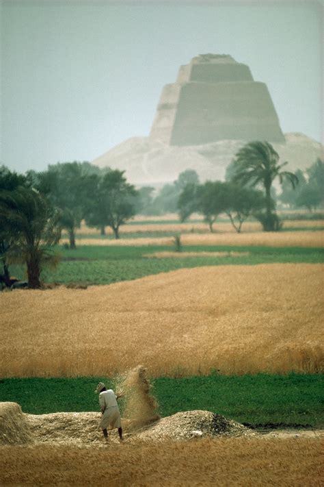 Neolithic Revolution 的图像结果